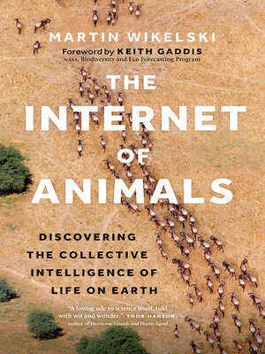cover image of The Internet of Animals